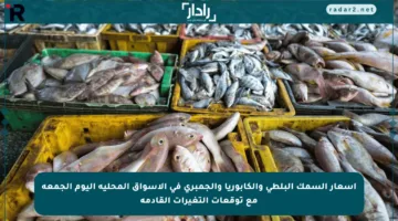 أسعار السمك البلطي والكابوريا والجمبري في الأسواق المحلية اليوم الجمعة مع توقعات التغيرات القادمة
